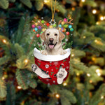 Cute Christmas Sock Dog Ornament