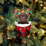 Cute Christmas Sock Dog Ornament