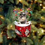 Cute Christmas Sock Dog Ornament