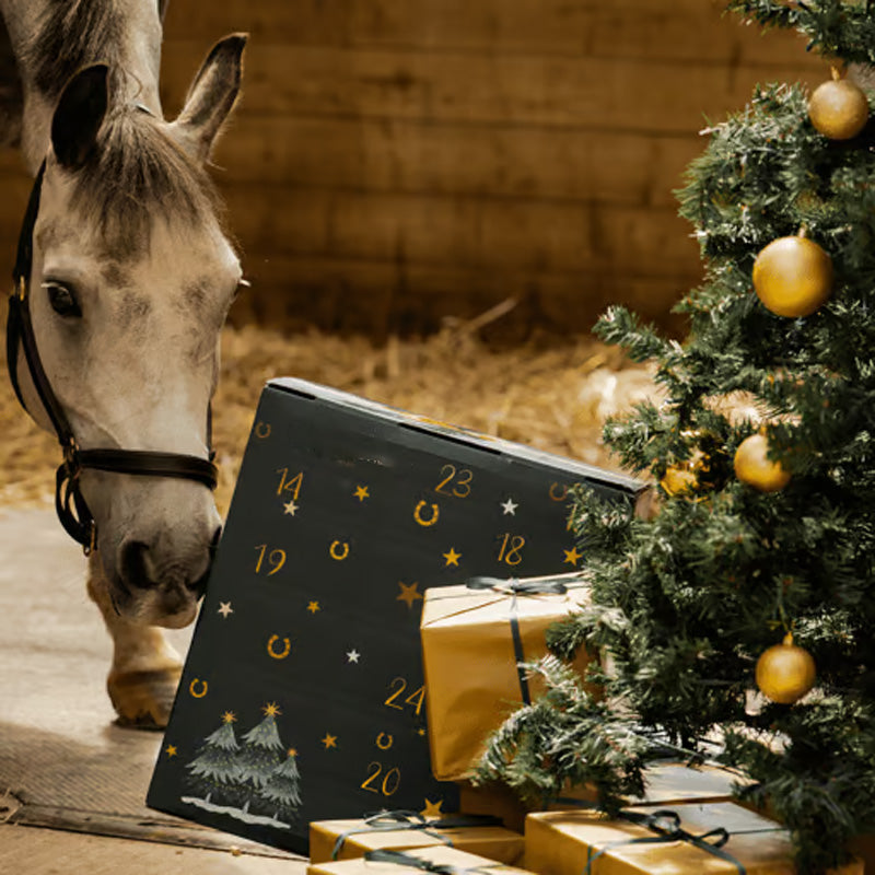 🐎Horse Supplies Advent Calendar 2024