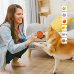 🐱🐶Pet Intelligent Ball