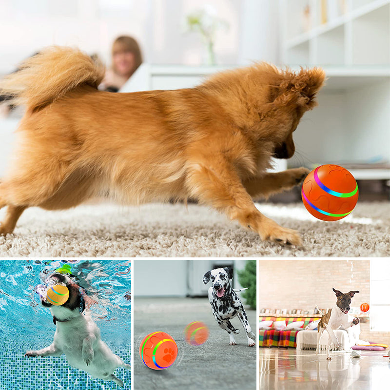 🐱🐶Pet Intelligent Ball