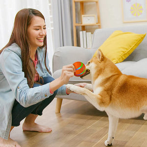 🐱🐶Pet Intelligent Ball