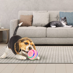 🐱🐶Pet Intelligent Ball