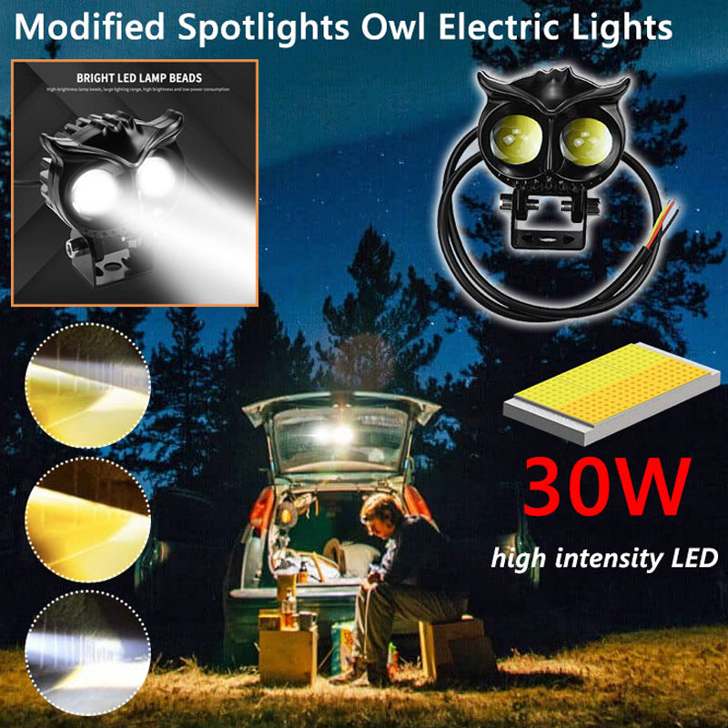 Modified Spotlights Owl Electric Lights