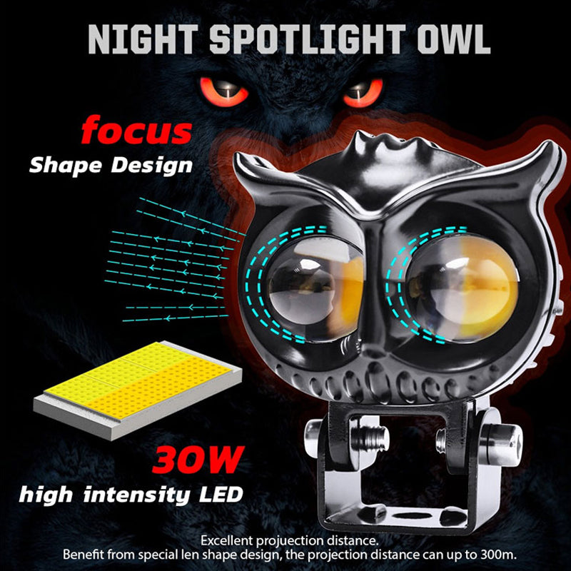 Modified Spotlights Owl Electric Lights