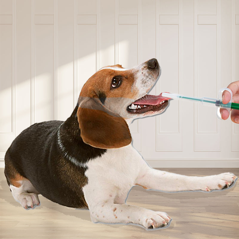 Pet Medicine Feeder