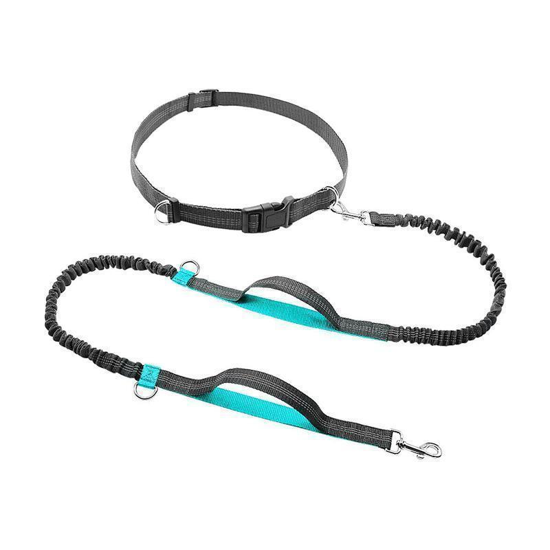 Handsfree Elastic Bungee Dog Leash