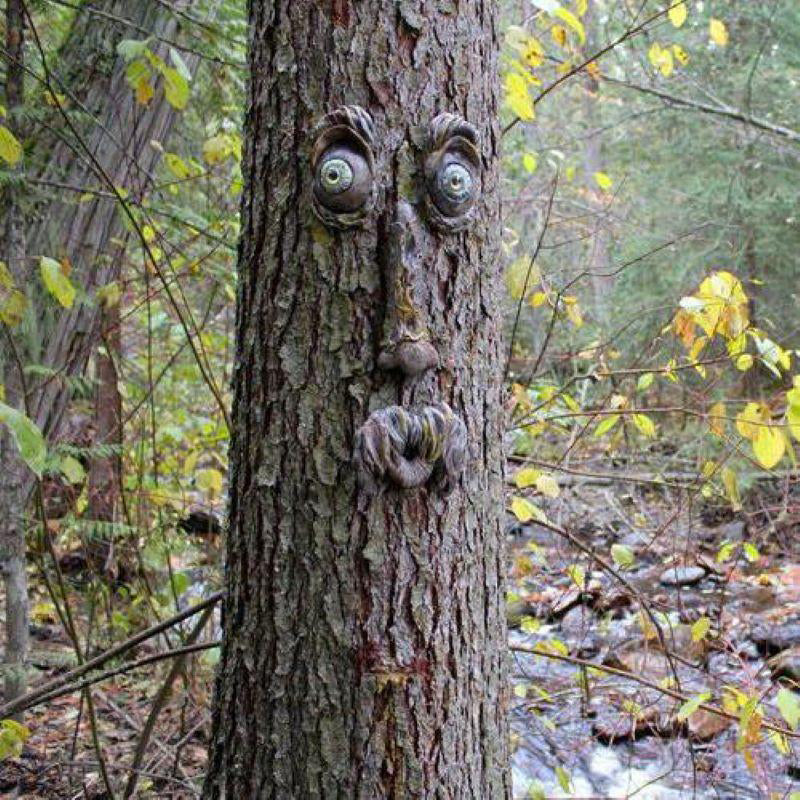 Outdoor Tree Face Decoration