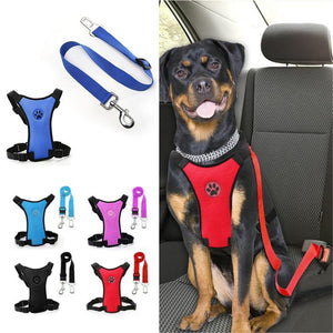 Dog Safety Harness Set