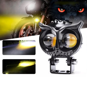 Modified Spotlights Owl Electric Lights