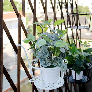 Hanging Window Basket