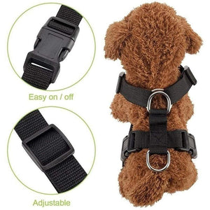 Dog Safety Harness Set