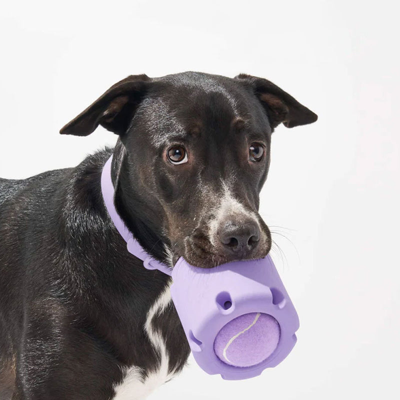 🐶🐱Tennis Tumble Puzzle Toy