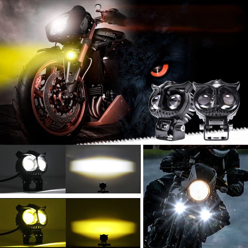 Modified Spotlights Owl Electric Lights