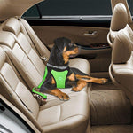 Dog Safety Harness Set