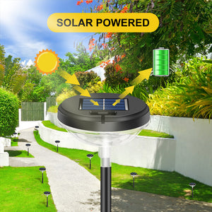 Solar Powered Colorful Outdoor Lighting