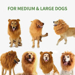 Lion Mane Wig for Dogs