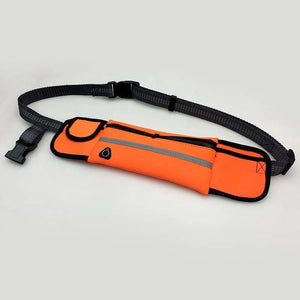 Buddy Bungee Dog Leash