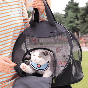 Portable Cat Bag