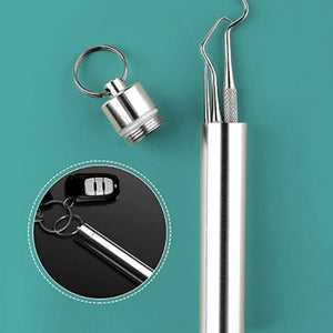 Stainless Steel Toothpick Set