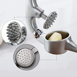 Stainless Steel Garlic Press