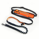 Buddy Bungee Dog Leash