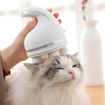 Multi-functional Pet Massager