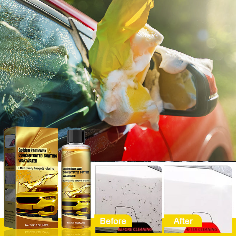 Golden Carnauba Car Wash Wax